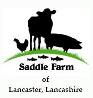 saddle logo